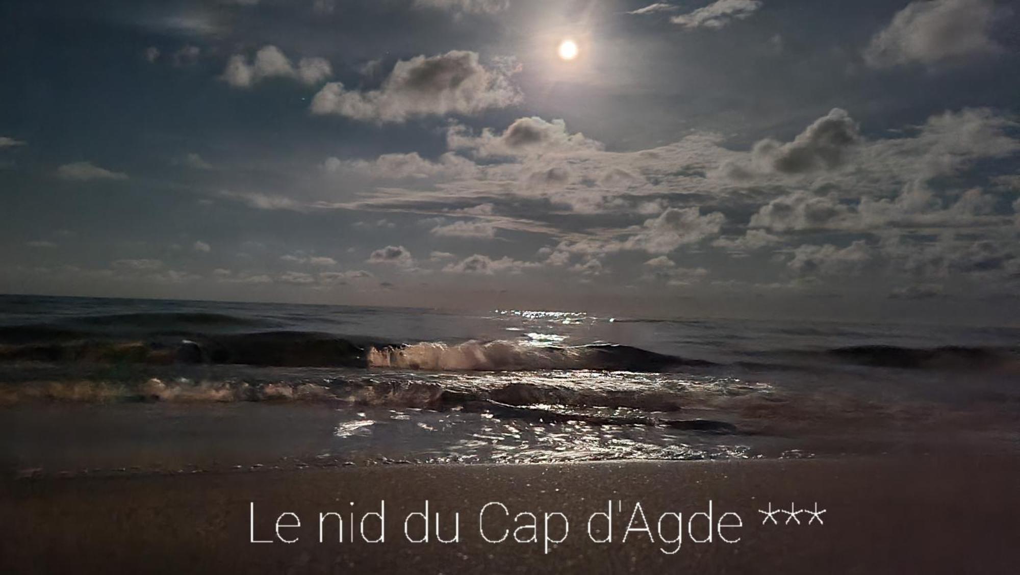 Residence De Standing La Pecherie Spacieux T3 Comme Un Cocon Familial Vue Mer Et Sur L'Avant Port Sur Le Bout Du Bout De Cap D'Agde Seule Cap En Occitanie エクステリア 写真
