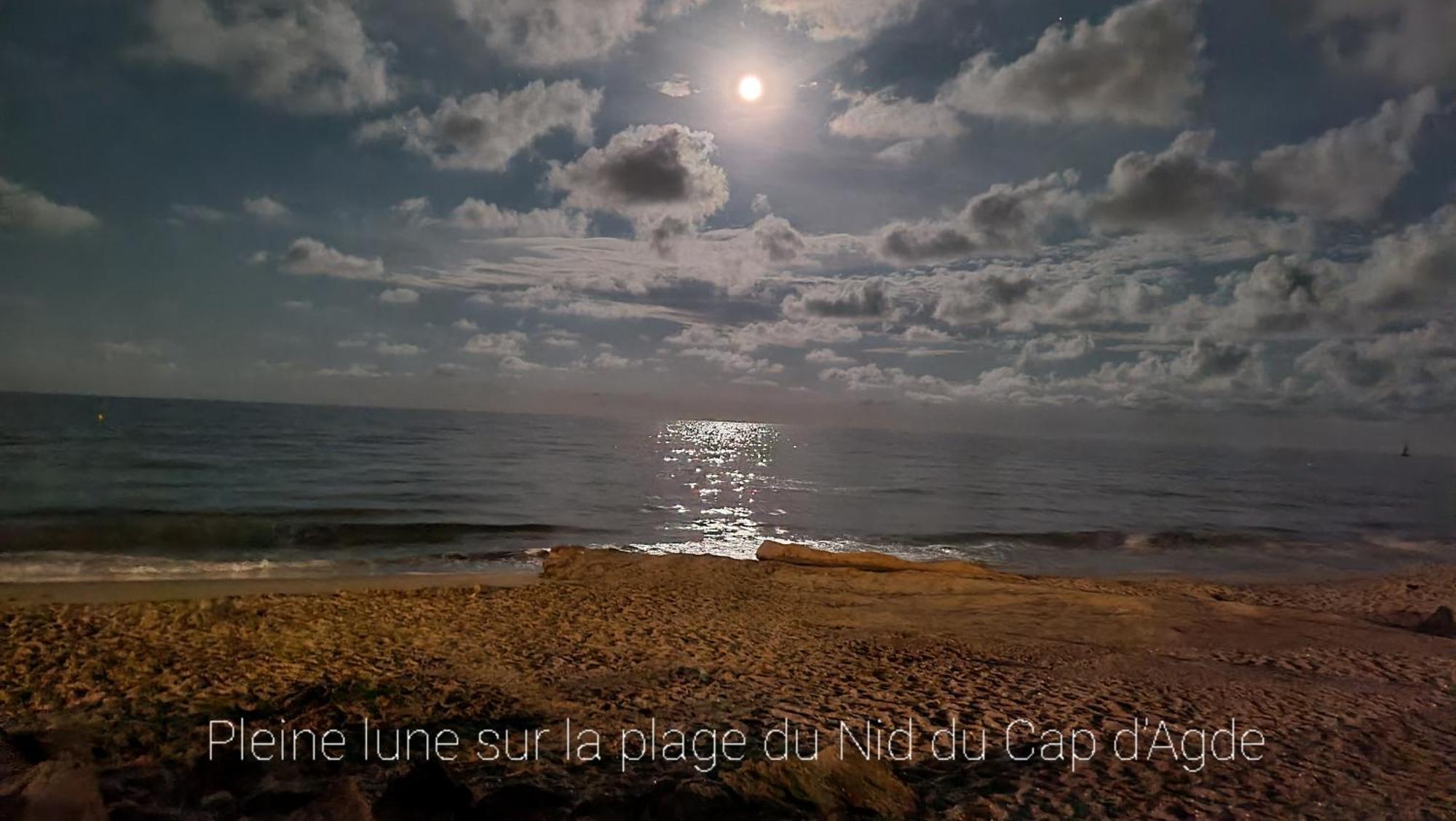 Residence De Standing La Pecherie Spacieux T3 Comme Un Cocon Familial Vue Mer Et Sur L'Avant Port Sur Le Bout Du Bout De Cap D'Agde Seule Cap En Occitanie エクステリア 写真